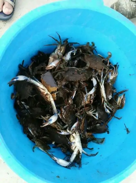 带你去赤道看海,赤道几内亚国家地图