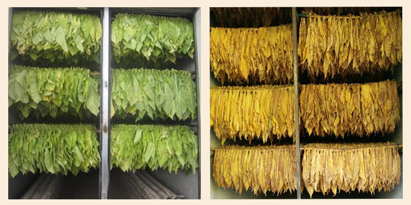 烟特别干怎么能再恢复,烟丝烟叶干燥怎么加湿