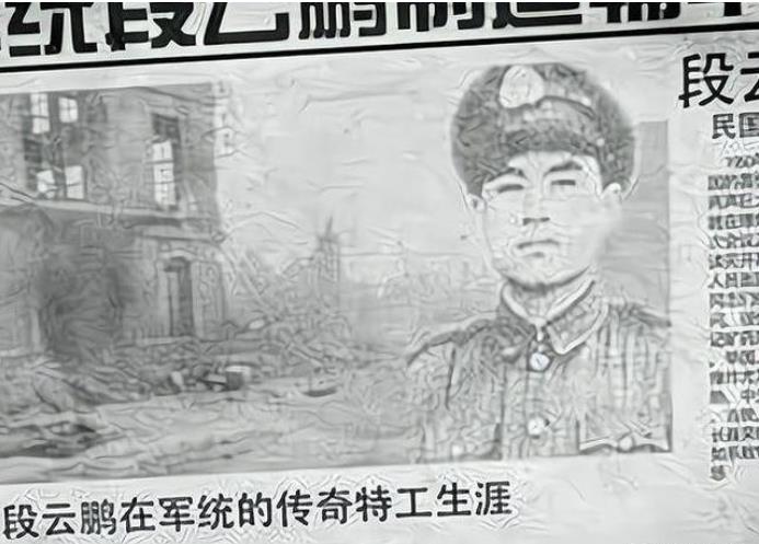 特工段云鹏,军统燕子段云鹏