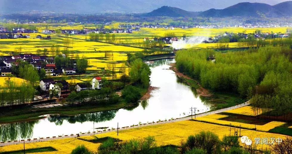 汉中南郑观花最佳路线,全国1-12月赏花旅游线路