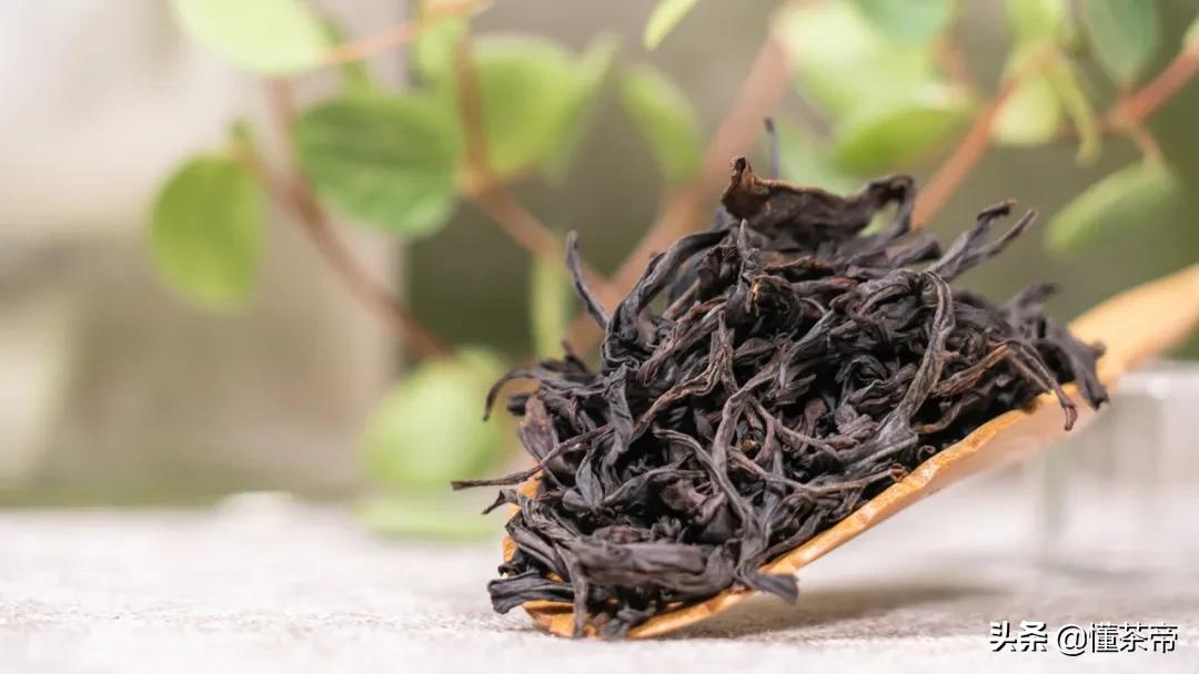 高端单丛蜜兰香,凤凰单丛蜜兰香的优劣区别