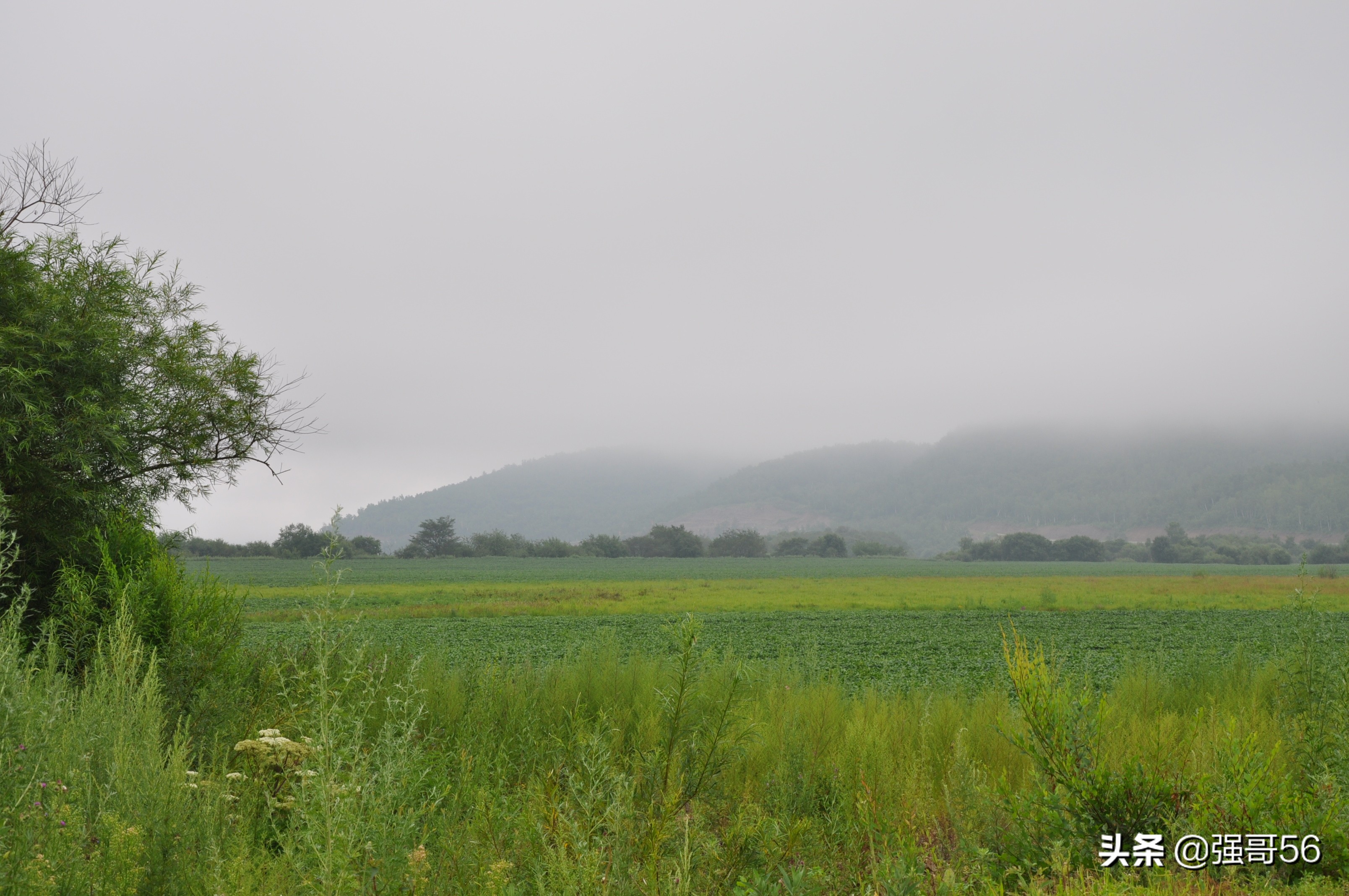 花甲夫妇去西藏第一集,花甲夫妻自驾游视频