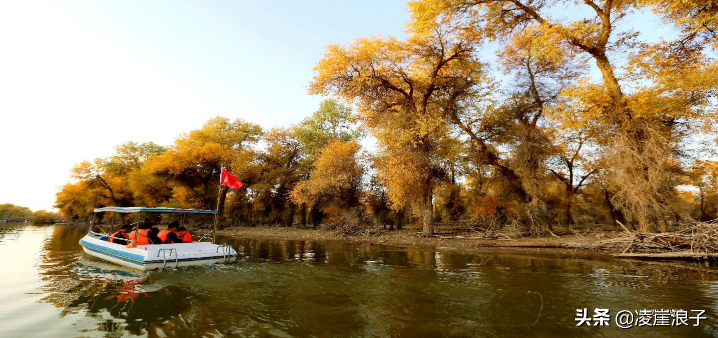 品过最烈的酒爬过最陡的峰却忘不掉胡杨里的一抹麦浪