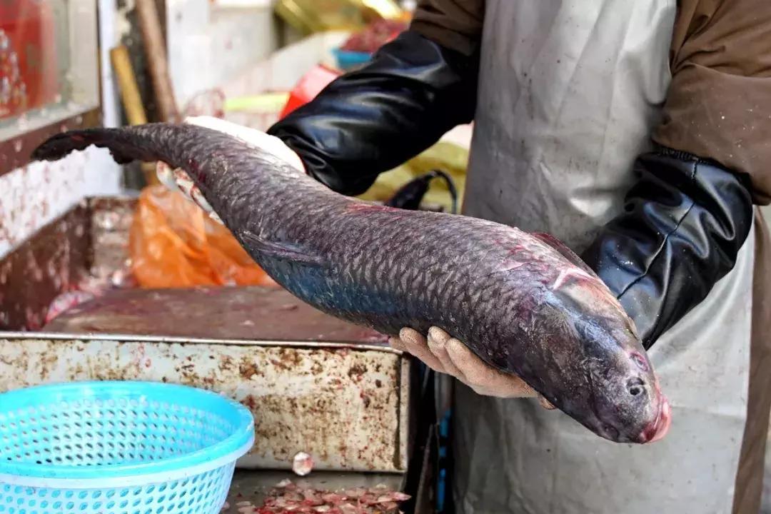 年味|带上小拖车跟我走!这里买年货实惠好吃