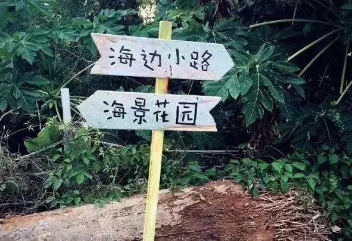 6月涠洲岛自由行,4月中去涠洲岛合适吗