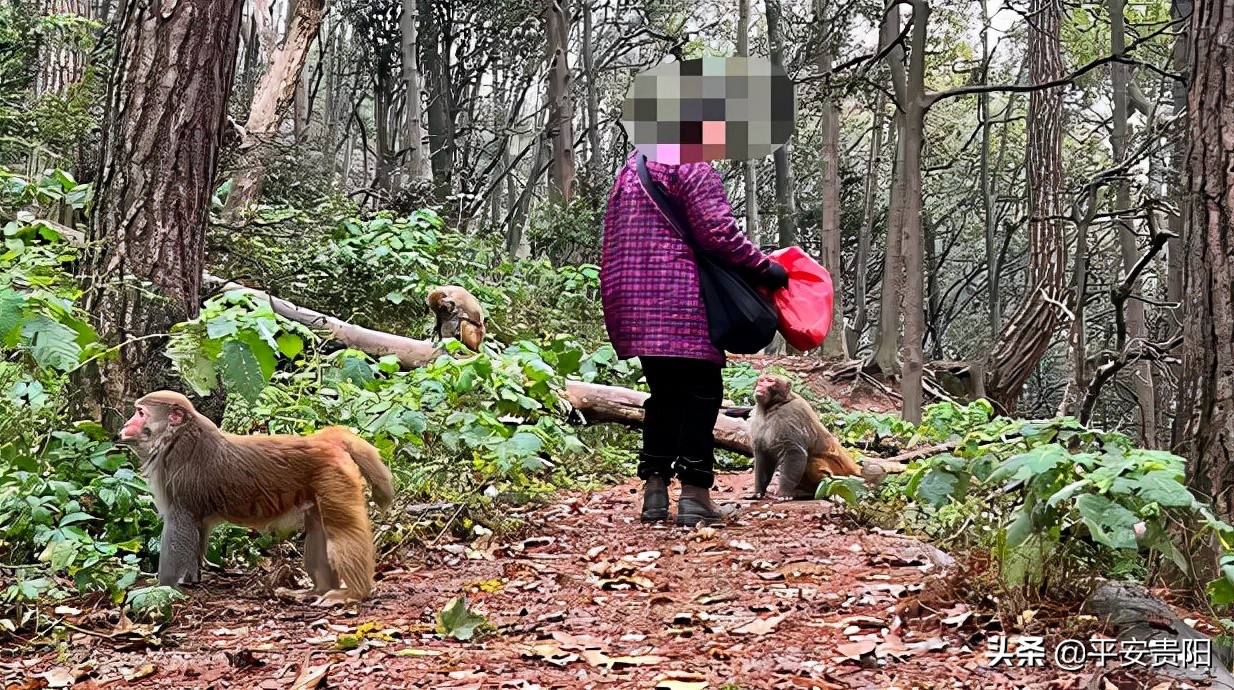 越来越嚣张了怎么办,越来越嚣张怎么解决