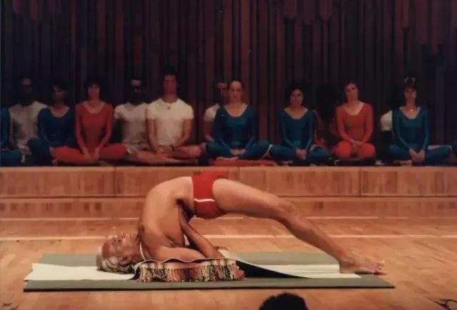 常见的艾扬格瑜伽体式,艾扬格瑜伽23个基本体式