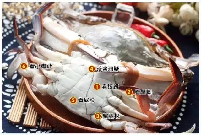 防城港市海鲜怎么挑,防城港海鲜扫货攻略附海鲜吃法