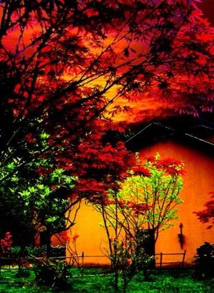 月是故乡明抒情散文,月是故乡明随笔