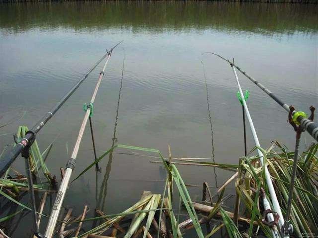 作为一个合格的钓鱼人,作为一名优秀的垂钓者