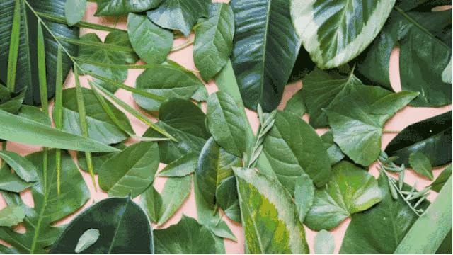 反叛先锋，潮流味道，这瓶最小众时髦的香水，先买为敬