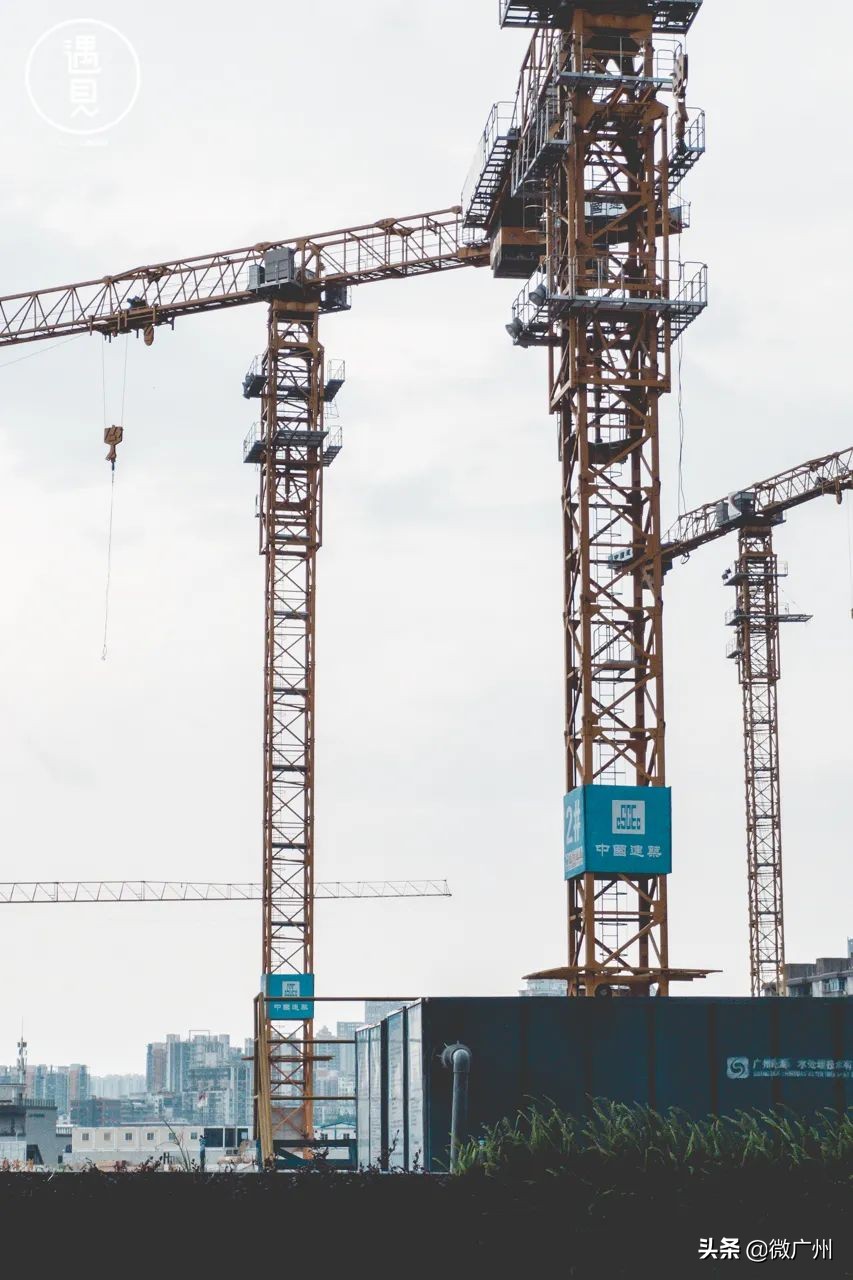 广州芳村未来发展趋势,广州荔湾芳村cbd