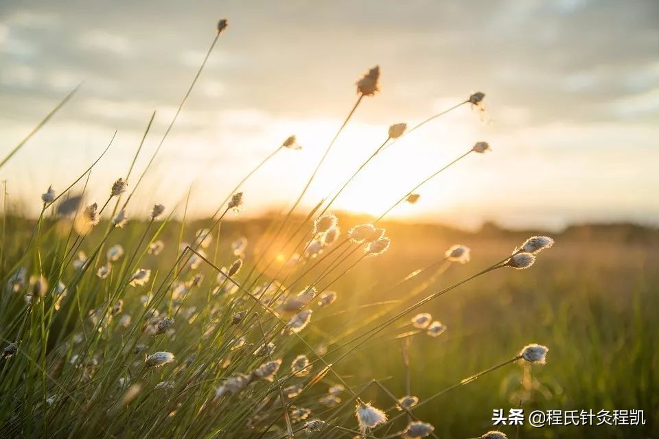 秋季孩子身上起荨麻疹怎么办,秋季小孩出麻疹