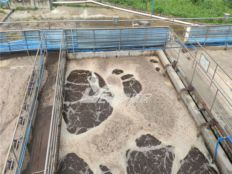 味精废水的处理,味精废水的特点