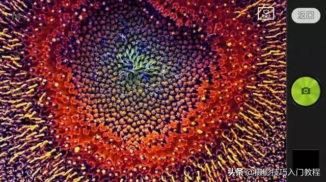 手机拍照如何拍出大片效果的照片,摄影技巧手机的专业拍照模式介绍