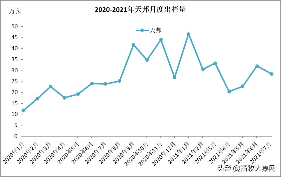 生猪出栏减少，高管大换血，中报巨亏，大卖资产，天邦今年有点难