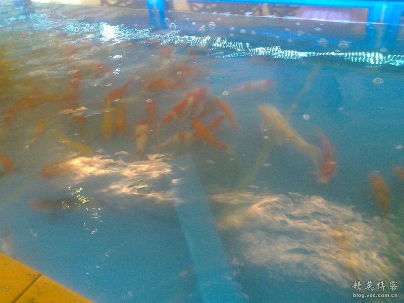 鏍床缇庣殑鏃朵唬骞垮満,鏍床缇庣殑鏃朵唬骞垮満鍋滆溅鏀惰垂