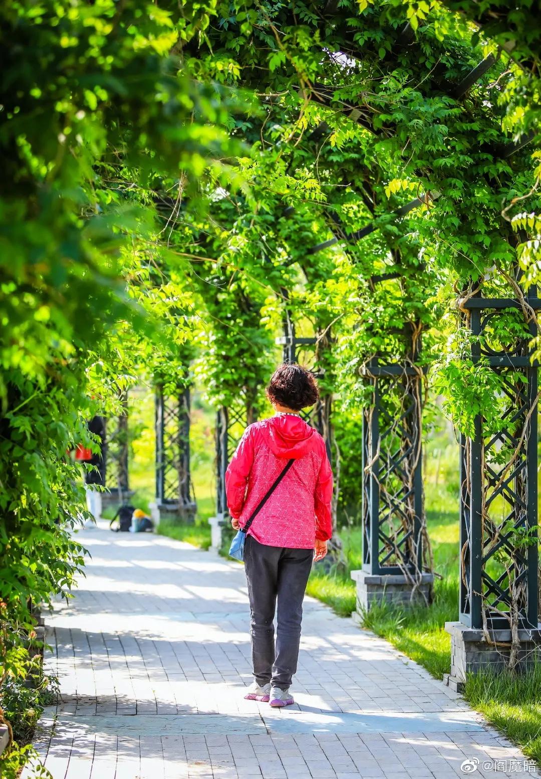 天津十大自然风景区,天津九山顶自然风景区赏秋