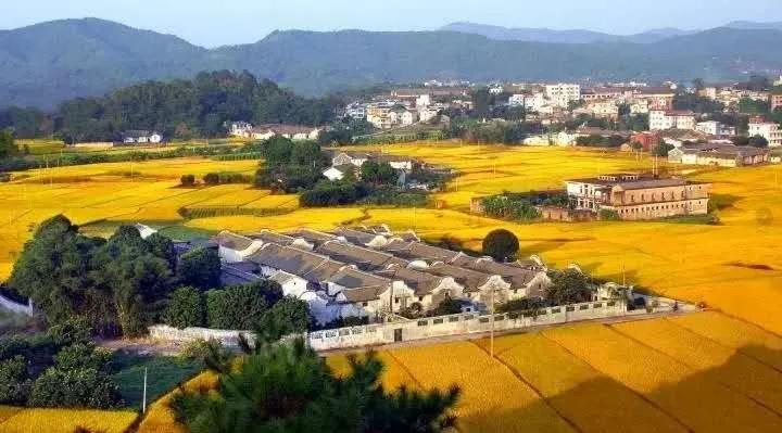 百佳诗意小城|@惠东人，快来为惠东打CALL!