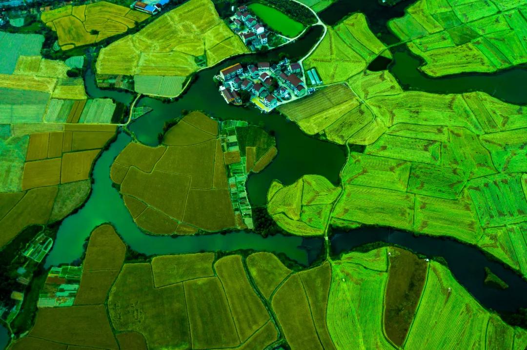 走向我们的小康生活微电影,走向我们的小康生活中国画