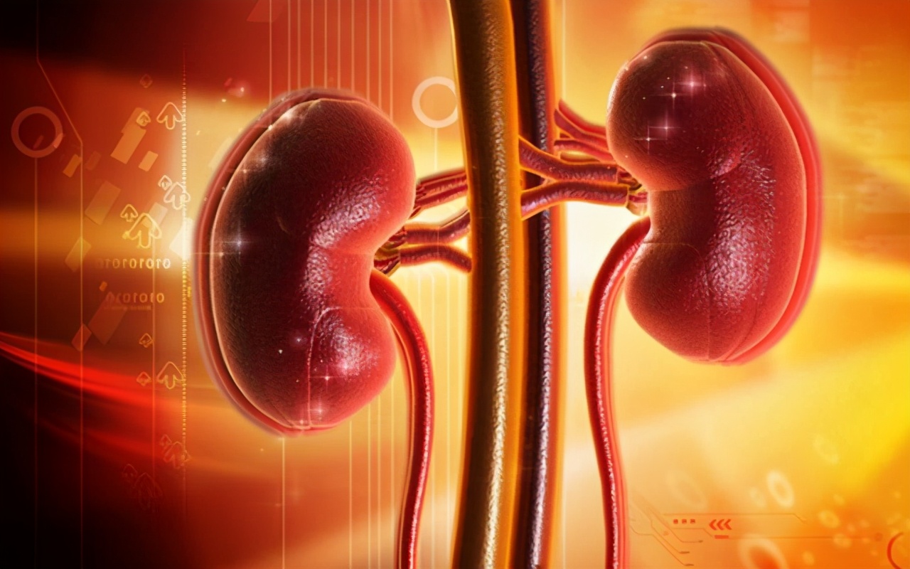 儿童过敏性紫癜是免疫系统疾病吗,过敏性紫癜属于自身免疫性疾病吗