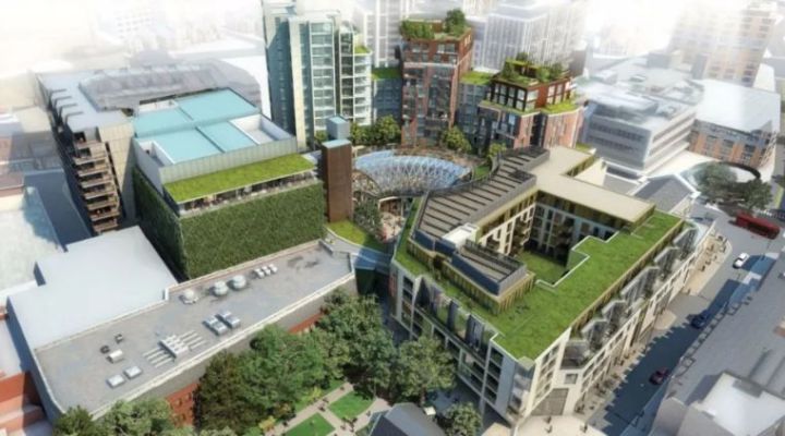 Kensington、Kingston傻傻分不清？带你走进国王的领地金斯顿