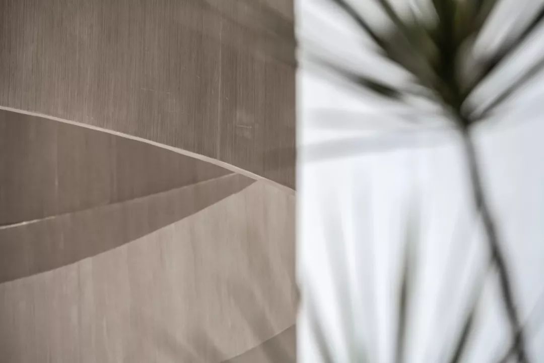 万科x大倉|对话自然美学，预见未来新生活