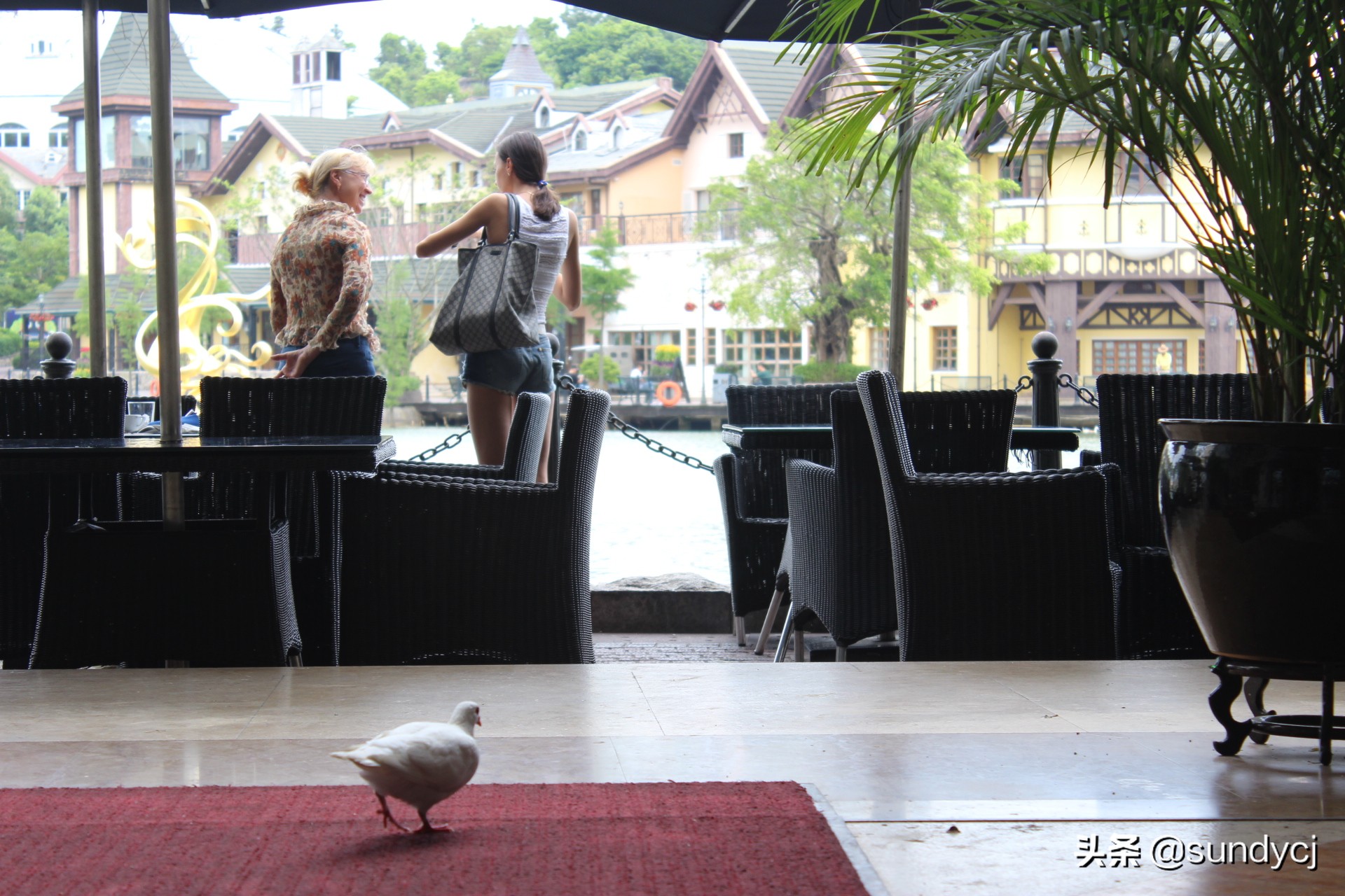 小奔奔,长安新能源奔奔自驾游西藏