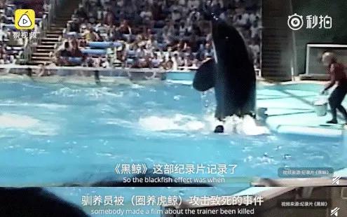 只为一串佛珠，他活剥了我妈的皮：人心有多可怕，你根本想象不到