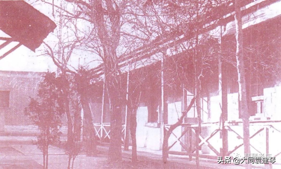 大同矿务局旧照片大全,大同矿务局旧照片