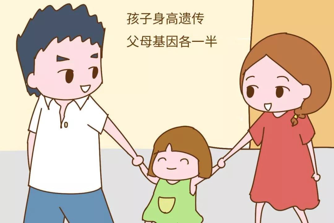 从小打篮球真的可以长高吗,打篮球为什么会有助于长高