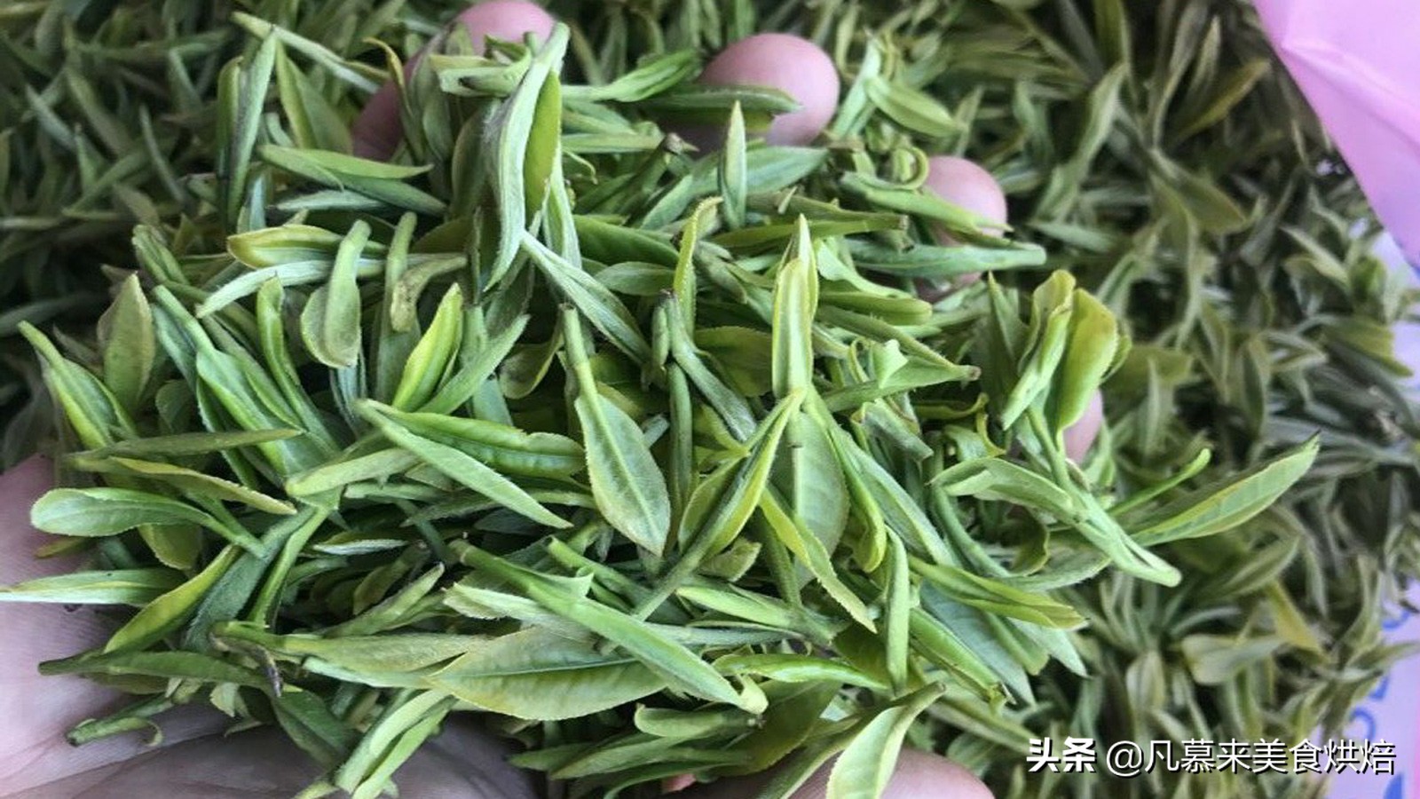 什么品种的茶叶最好喝,中国十大名茶哪种茶叶最好喝