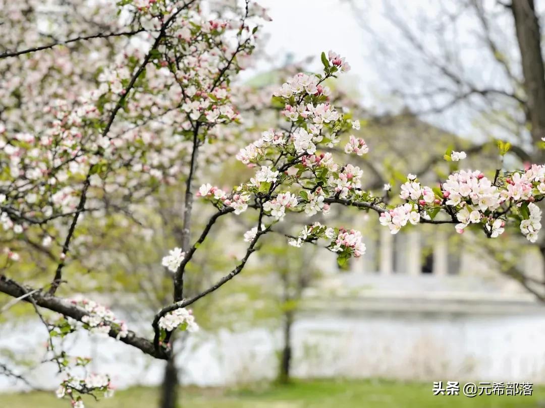 芝加哥周边小城旅游攻略,芝加哥旅游路线地图
