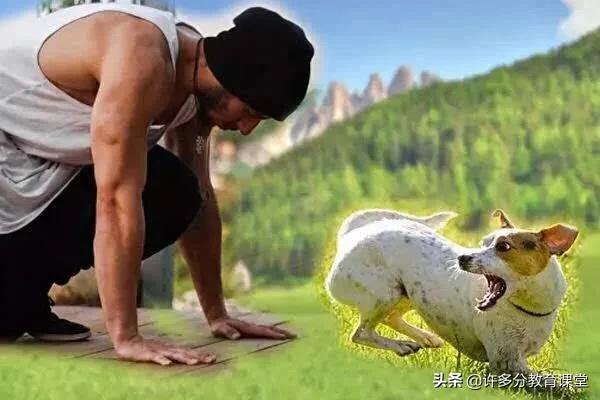 河北保定女童被2恶犬咬死，教你遇到恶犬咬人如何自救和救人