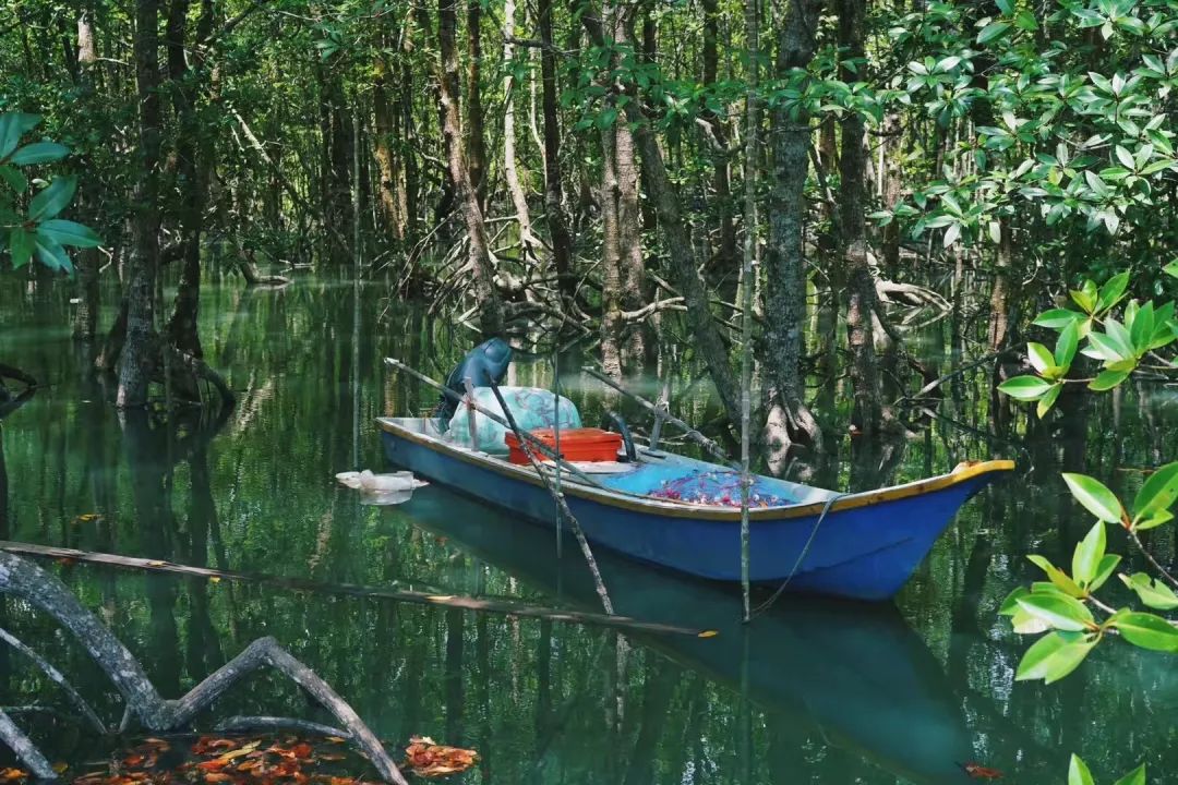 初夏海边旅行攻略,初夏自驾一日游