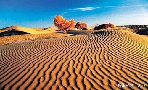 旅行新疆的美,旅行带你感受不一样的文化风情