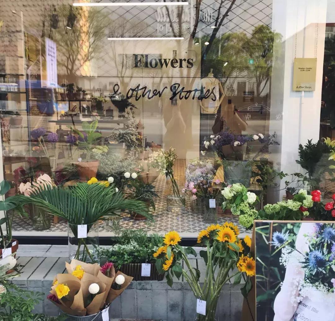 hm女装牌子还有哪些,全方位打造完美女性