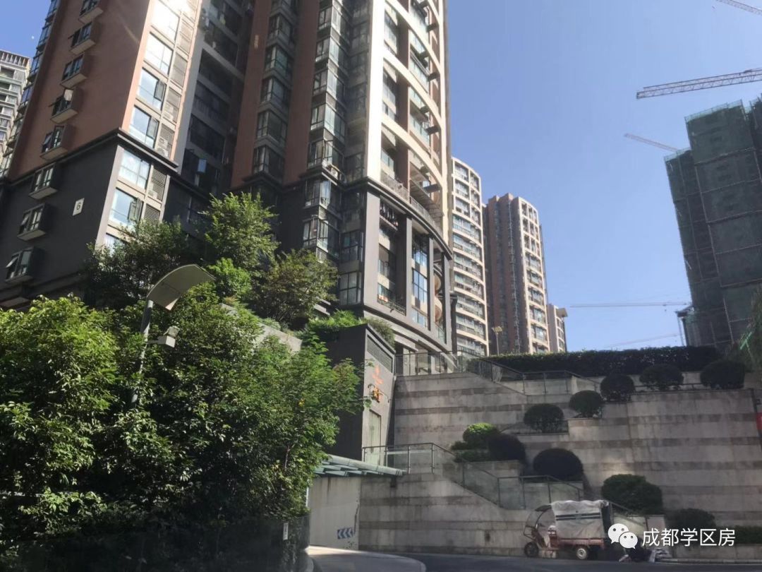 天府新区好的学区房有哪些,天府新区小学排名及周边楼盘