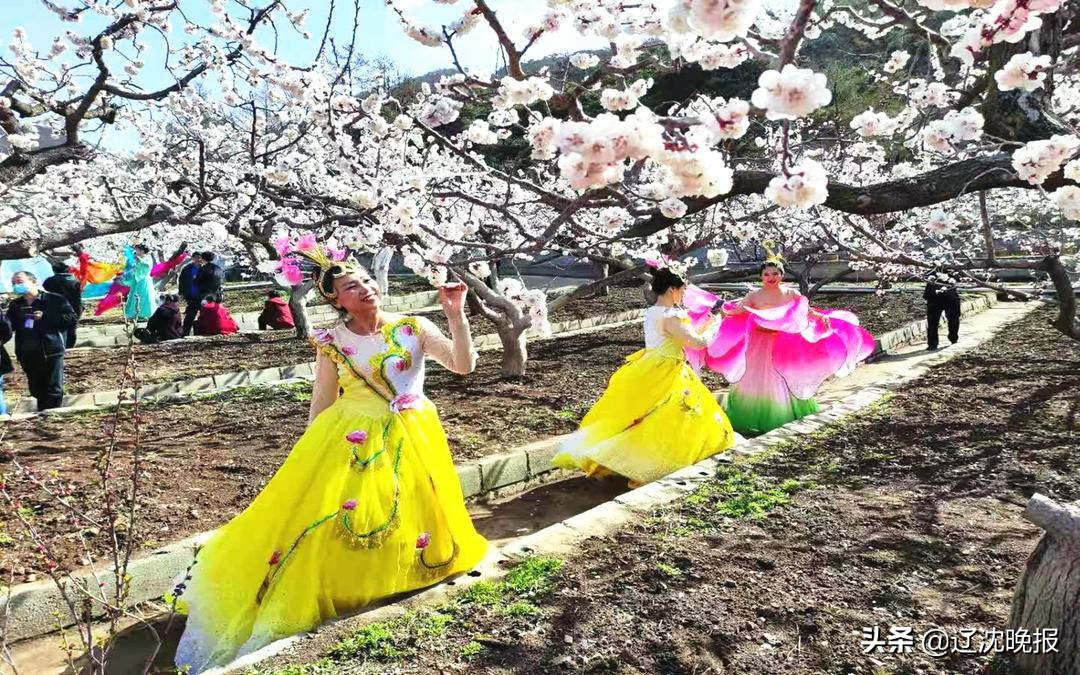 辽宁十大赏花景点,五一观花辽宁新去处