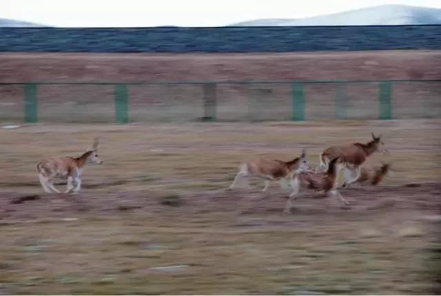 拍照模糊的方法是什么,拍照模糊如何去掉