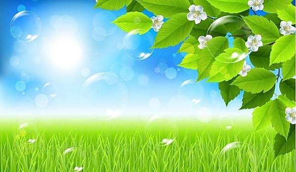 [秋叶之赋]秋日落叶漫漫，落叶归根，然而落叶有顽强的生命力