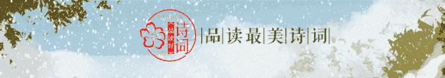 「原创诗词」侯*红庆**|笑傲枝头清骨冷此花不与百花同