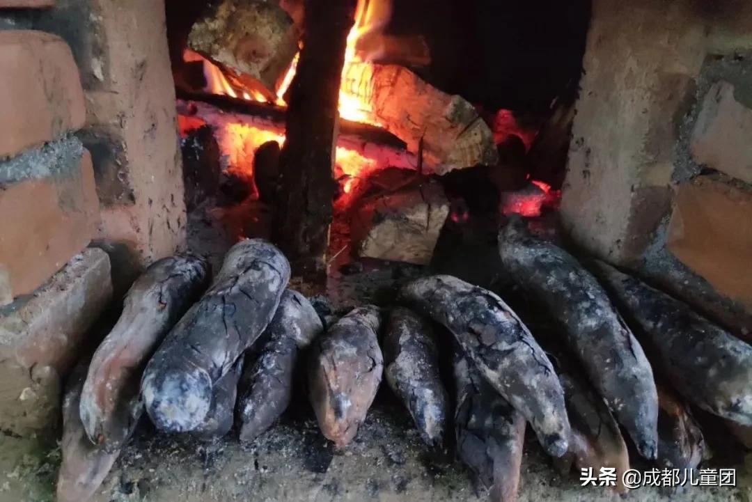 土地四季·禾下乘凉丨给孩子的大地课堂,在自然中自然生长