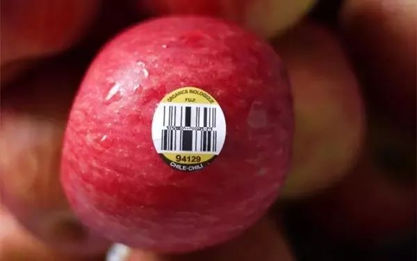 陕西红富士水果,新鲜红富士让您吃得放心