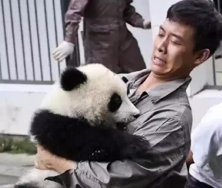 男性的胸部到底有什么用？又不能喂奶！可以丰胸吗？