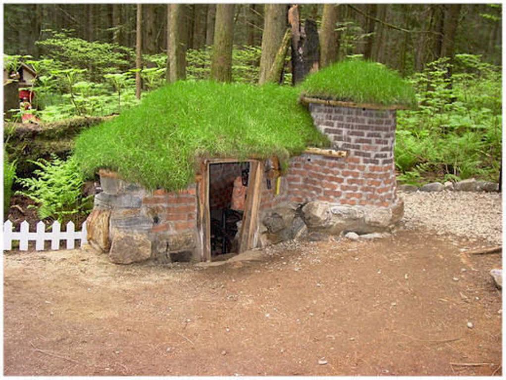 加拿大童话梦想！隐藏八百年前森林中，百万游客，老板：我不玩了