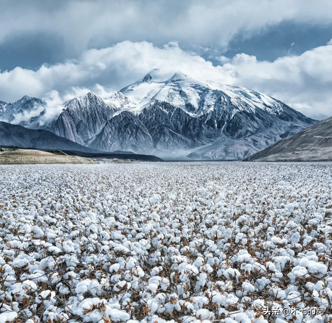 郭艾伦无以伦比,郭艾伦非黑即白