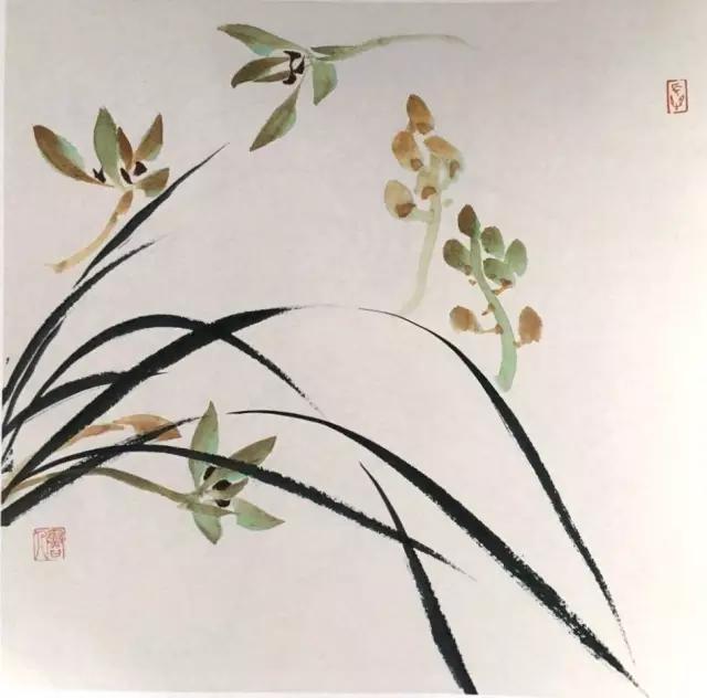 国画兰花绘画图,简单国画兰花画法教程