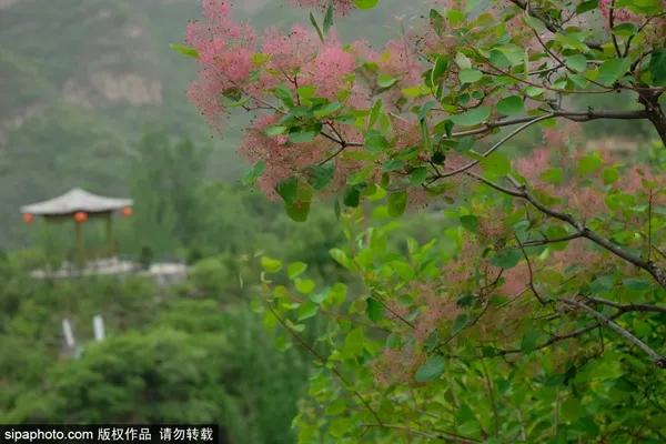 北京各景点今天对外开放的有哪些,北京各景点开放时间表