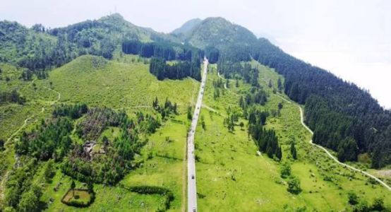 2020重庆马拉松比赛现场直播,重庆千野草场音乐节